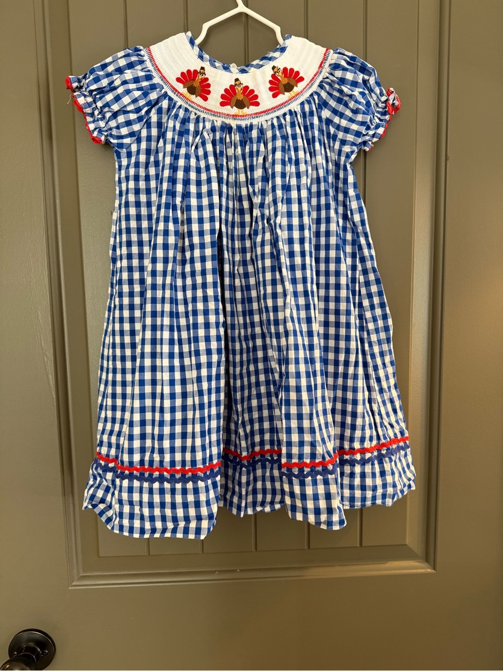 Lil Cactus Smocked Blue Gingham Embroidered Dress with Red Accents